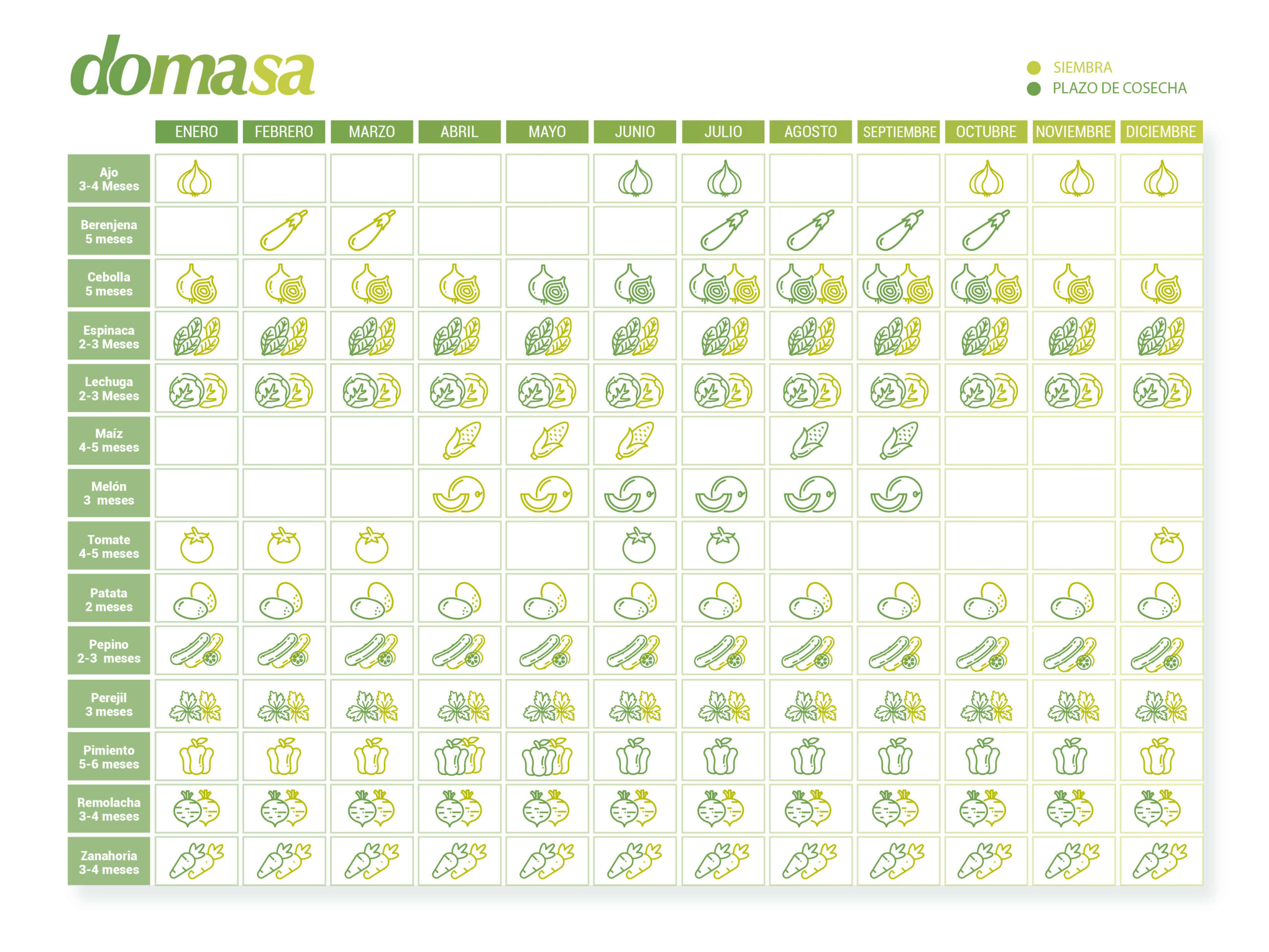 calendario siembra huerto urbano scaled
