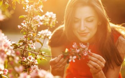 Consejos para un buen jardín en primavera