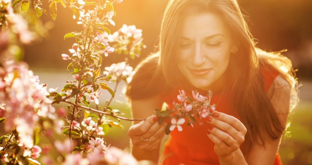 Consejos para un buen jardín en primavera
