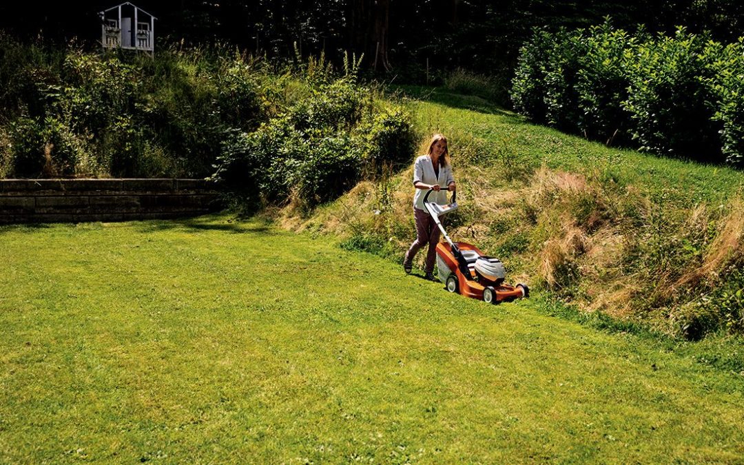 Cuidados del jardín en febrero