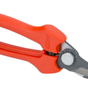 Tijera Vendimia Hoja Curva, 10 P123-19-BULK15